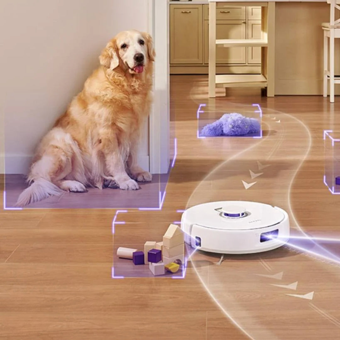 iHoover Robot